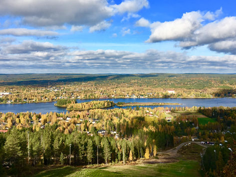 How does Sustainable Travel Finland support sustainability learning in small tourism companies?
